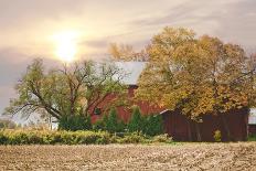 My Red Barn-Kelly Poynter-Framed Art Print