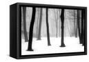 Canvas Black
