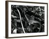 Kelp and Pebbles, 1974-Brett Weston-Framed Photographic Print