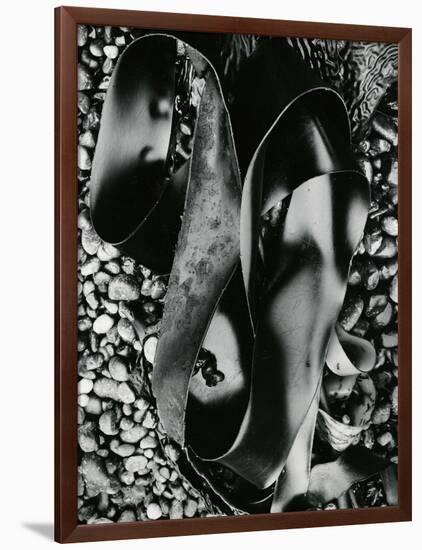 Kelp and Pebbles, Oregon, 1974-Brett Weston-Framed Photographic Print