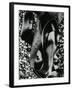 Kelp and Pebbles, Oregon, 1974-Brett Weston-Framed Premium Photographic Print