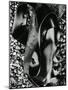 Kelp and Pebbles, Oregon, 1974-Brett Weston-Mounted Photographic Print