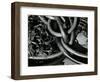 Kelp and Sand, 1977-Brett Weston-Framed Photographic Print