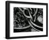 Kelp and Sand, 1977-Brett Weston-Framed Photographic Print