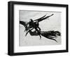 Kelp and Sand, c. 1965-Brett Weston-Framed Photographic Print