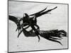 Kelp and Sand, c. 1965-Brett Weston-Mounted Photographic Print