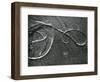 Kelp and Sand, c. 1965-Brett Weston-Framed Photographic Print