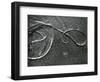 Kelp and Sand, c. 1965-Brett Weston-Framed Photographic Print