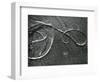 Kelp and Sand, c. 1965-Brett Weston-Framed Photographic Print