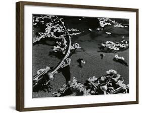 Kelp and Water, Garrapata, 1951-Brett Weston-Framed Photographic Print