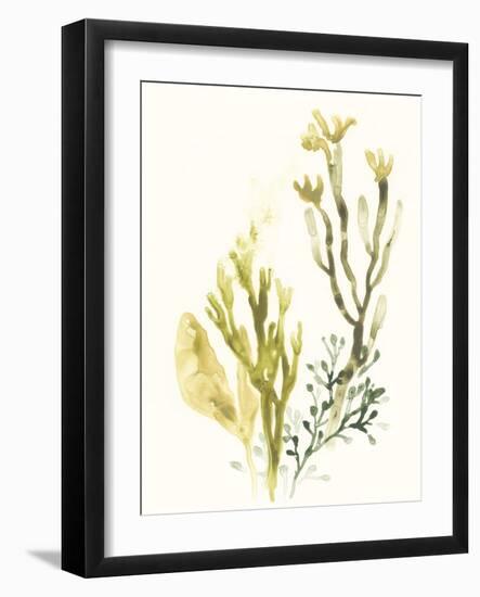 Kelp Collection II-June Vess-Framed Art Print