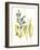 Kelp Collection III-June Vess-Framed Art Print