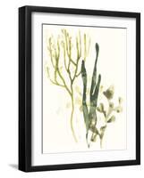 Kelp Collection V-June Vess-Framed Art Print