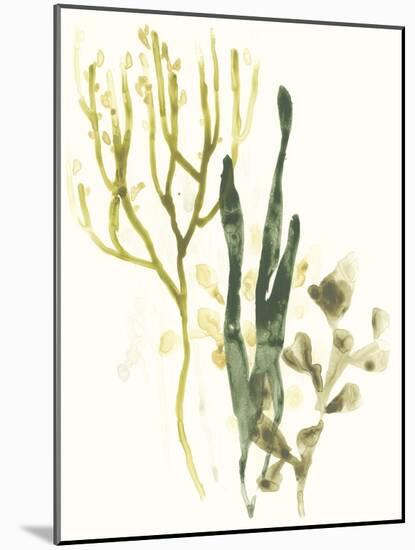 Kelp Collection V-June Vess-Mounted Art Print