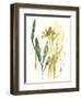 Kelp Collection VI-June Vess-Framed Art Print