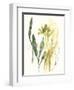 Kelp Collection VI-June Vess-Framed Art Print