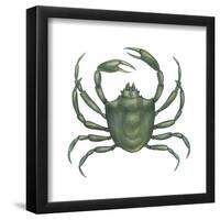 Kelp Crab (Pugettia Producta), Crustaceans-Encyclopaedia Britannica-Framed Poster