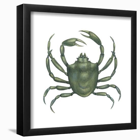 Kelp Crab (Pugettia Producta), Crustaceans-Encyclopaedia Britannica-Framed Poster