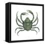 Kelp Crab (Pugettia Producta), Crustaceans-Encyclopaedia Britannica-Framed Stretched Canvas