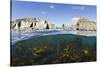 Kelp Forest (Laminaria Sp) Growing Beneath the Cliffs of Lundy Island, Devon, UK-Alex Mustard-Stretched Canvas