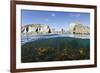 Kelp Forest (Laminaria Sp) Growing Beneath the Cliffs of Lundy Island, Devon, UK-Alex Mustard-Framed Photographic Print