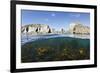 Kelp Forest (Laminaria Sp) Growing Beneath the Cliffs of Lundy Island, Devon, UK-Alex Mustard-Framed Photographic Print