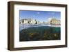 Kelp Forest (Laminaria Sp) Growing Beneath the Cliffs of Lundy Island, Devon, UK-Alex Mustard-Framed Photographic Print