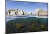 Kelp Forest (Laminaria Sp) Growing Beneath the Cliffs of Lundy Island, Devon, UK-Alex Mustard-Mounted Photographic Print