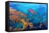 Kelp Forest-photojohn830-Framed Stretched Canvas