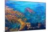 Kelp Forest-photojohn830-Mounted Photographic Print