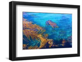 Kelp Forest-photojohn830-Framed Photographic Print