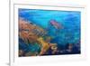 Kelp Forest-photojohn830-Framed Photographic Print