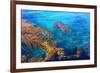 Kelp Forest-photojohn830-Framed Photographic Print