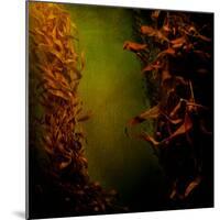 Kelp Seaweed Flowing in Water-Trigger Image-Mounted Photographic Print