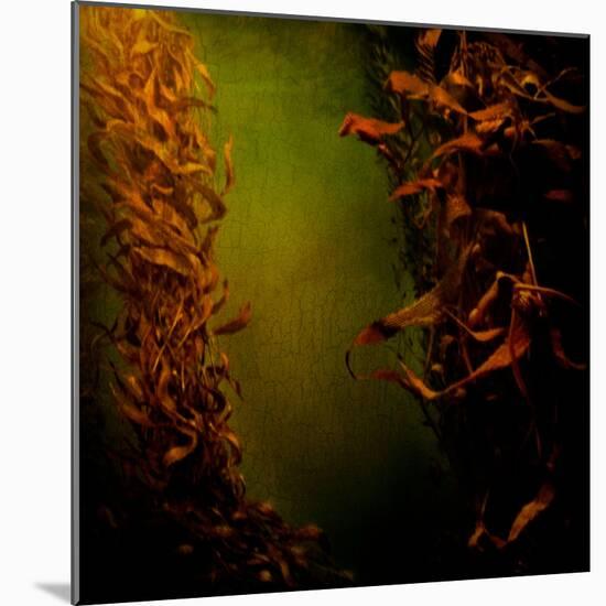 Kelp Seaweed Flowing in Water-Trigger Image-Mounted Photographic Print