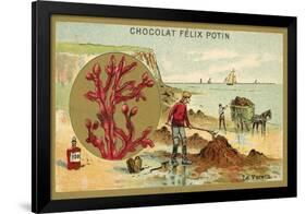 Kelp-null-Framed Giclee Print