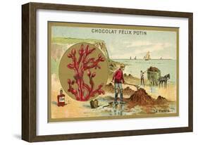 Kelp-null-Framed Giclee Print