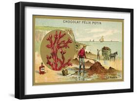 Kelp-null-Framed Giclee Print