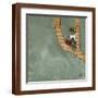Brown Frame