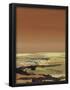 Essential Black