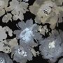 Laminate