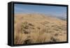 Kelso Dunes, also known as the Kelso Dune Field, the Larges-Carol Highsmith-Framed Stretched Canvas