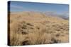 Kelso Dunes, also known as the Kelso Dune Field, the Larges-Carol Highsmith-Stretched Canvas