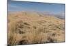 Kelso Dunes, also known as the Kelso Dune Field, the Larges-Carol Highsmith-Mounted Photo