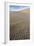 Kelso Dunes I-Kathy Mahan-Framed Photographic Print