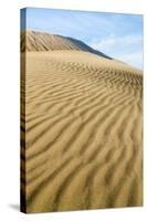 Kelso Dunes II-Kathy Mahan-Stretched Canvas