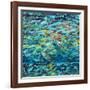 Kemps Ridley Turtle Hidden Treasure-Lucy P. McTier-Framed Giclee Print