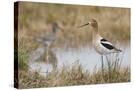 Stretched Canvas