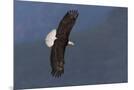 Wood Mount