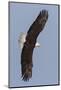 Wood Mount